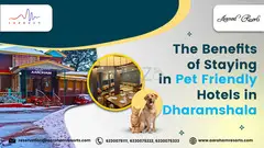 The Benefits of Staying in Pet Friendly Hotels in Dharamshala - 1
