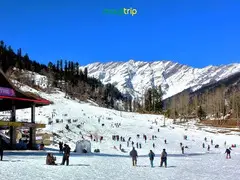 Manali Tour Packages from all Across India