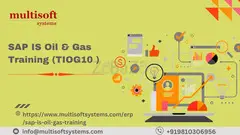 SAP IS Oil & Gas Training (TIOG10 ) - 1