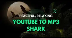 YouTube to MP3 Shark - 1