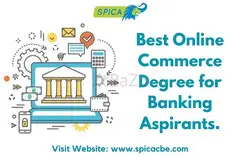 Best Online Commerce Degree for Banking Aspirants - 1