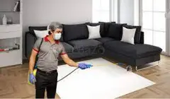 Professional Pest Control Services in India - 1
