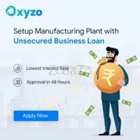 Accelerate Your Business with Oxyzo's Collateral-Free Business Loans - 1