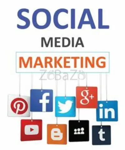 social media marketing agency in india - 1/1