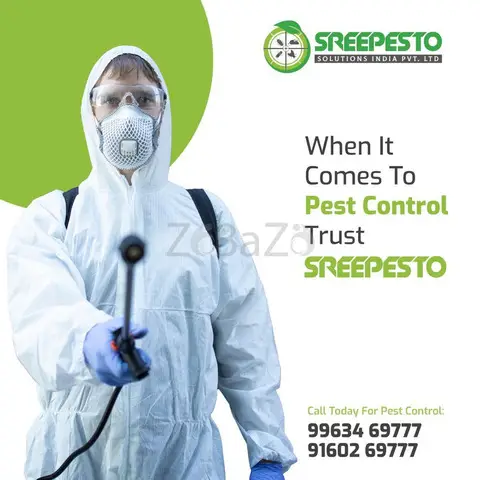 Termite Pest Control Services In Hyderabad - 1/2