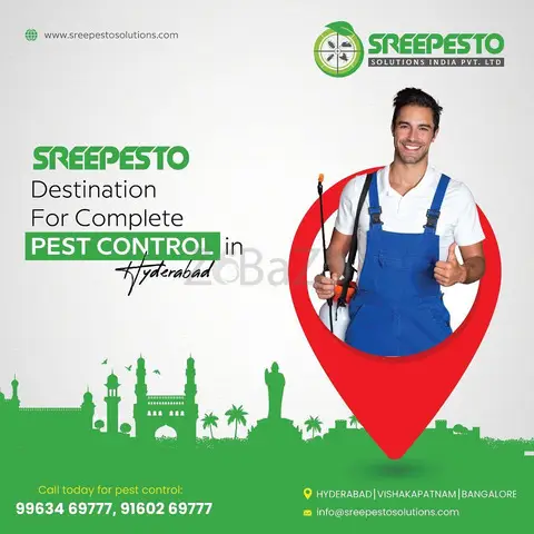 Termite Pest Control Services In Hyderabad - 2/2