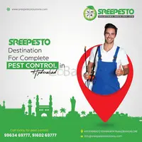 Termite Pest Control Services In Hyderabad