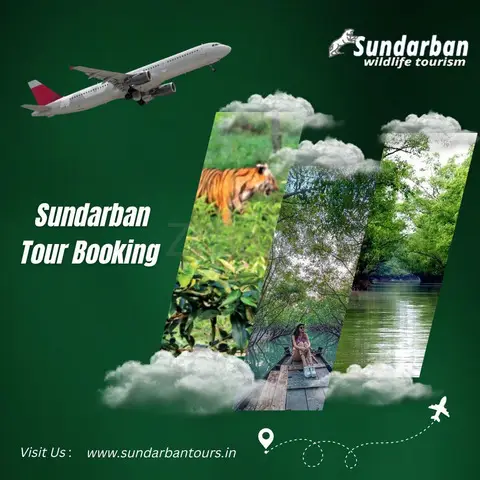 Find Affordable Options For Sundarban Tour Booking - 1