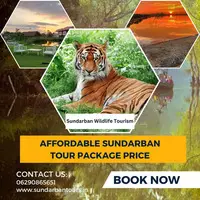 Find Affordable Options For Sundarban Tour Booking