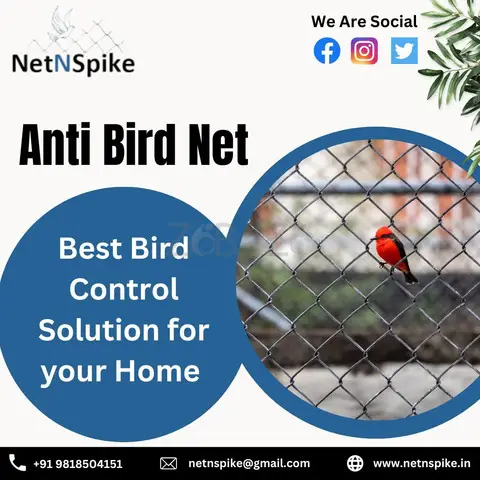 Say Goodbye to Bird Troubles with Our Anti Bird Net - 1/1