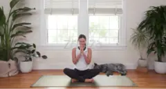 Online Yoga Classes and Yoga classes near me for beginners at cult.fit