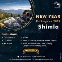 New Year Celebration Packages in Shimla | New Year Packages in Shimla - 1