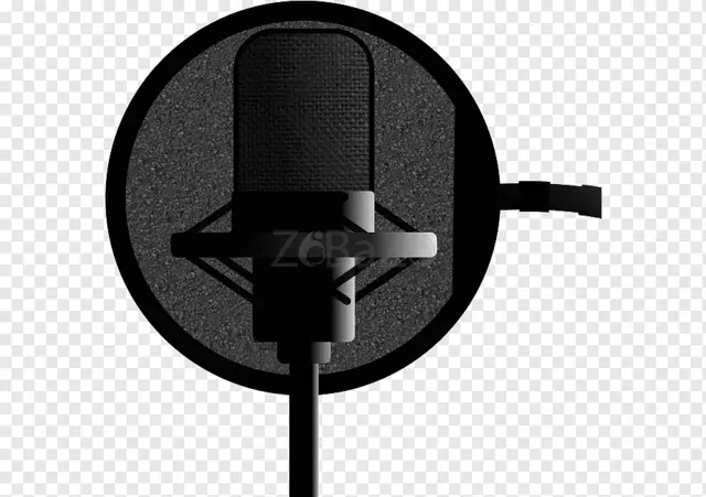 Hire Professional Telugu Voice Over Actor/Artists in India - 1/1