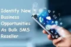 Why become a White Label Bulk SMS Reseller ?