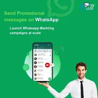 WhatsApp Marketing on WhatsApp Business App