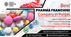 Best Pharma Franchise Company in Punjab - 1