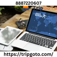 Cheap Flight Deals & Flight Tickets Booking Online - TripGoTo - 1