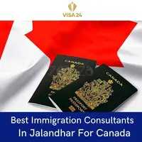 Hire Visa Consultants That Provide Cost-Effective Immigration Services For Canada