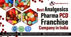 Top Pharma Farnchises for Analgesic Painkiller Range