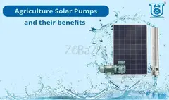 Why Do You Need a Solar Pump to Meet Your Agricultural Needs?