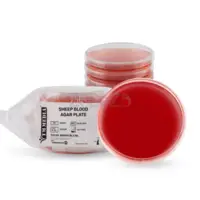 Buy SHEEP BLOOD AGAR PLATE Online I All India Delivery