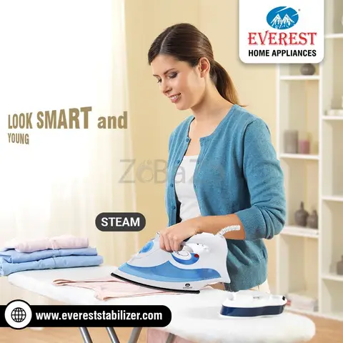 Buy Iron Box Online | Best Electric Irons | EVEREST Brand - 1