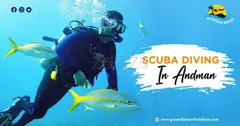 Scuba Diving in Andaman: Explore the Depths of the Andaman Sea - 1