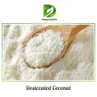 Desiccated Coconut Supplier and Exporter From India - Dhanraj Enterprise - 3
