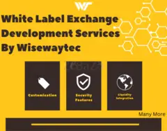 Wisewaytec -Providing Best White Label Development Services