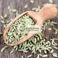 Spices Manufacturer & Exporter India - Kapadiya Expo Company