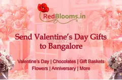 Send Your Love to Bangalore with RedBlooms.in