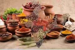 Step into a World of Flavor: The Garden of Spices of India - 1