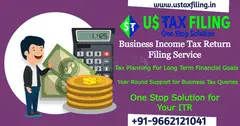 Business Income Tax Return Filing Service - 1