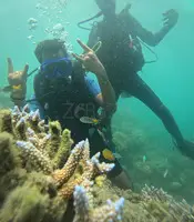 Affordable tour packages for Andaman