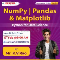 Best Numpy | Pandas | Matplotlib Online Training in Hyderabad - Naresh IT
