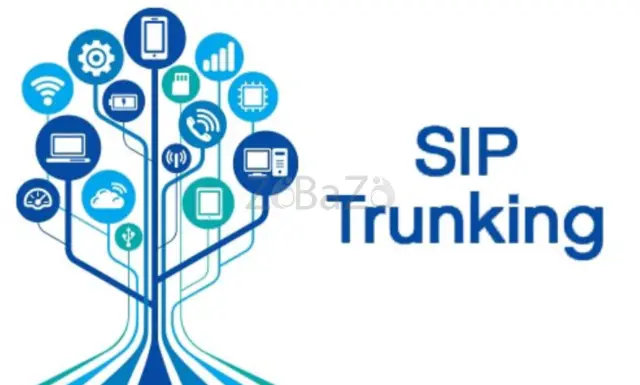 SIP Trunking: The Smart Choice for Businesses of All Sizes - 1