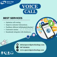 Best Voice Call Marketing Campaign with IVR