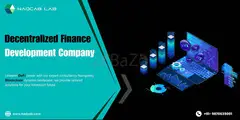 Decentralized Finance Development Company - 1