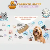 Discover Top-Quality Pet Grooming Near You - Find Expert Services for a Happy, Healthy Pet!