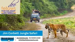Exploring the Wonders of Jim Corbett Jungle Safari Booking - 1