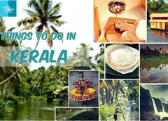 Kerala Tour Packages: A heartfelt trip to God's own country