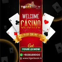 Discover Top-Rated Online Casinos in India for Real Money Gaming