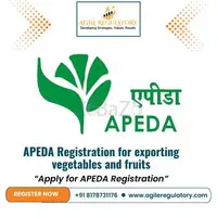 APEDA Registration for exporting vegetables and fruits