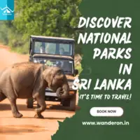 Serene Splendor: Discovering Sri Lanka's National Parks on Tailored Tour Packages