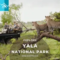 Discover Wildlife Wonders: Yala National Park Sri Lanka Tour Package - 1