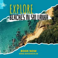 Sri Lanka Serenity: Beach Bliss and Beyond