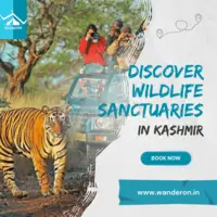 Discover Kashmir's Pristine Wildlife Sanctuaries with Our Exclusive Kashmir Tour Package