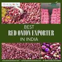 Find Best Red Onion Exporter in India - 1