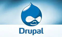Your Top Drupal Development Company India: Wavy Informatics