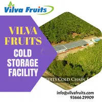 Large cold storage facility in coimbatore vilva fruits